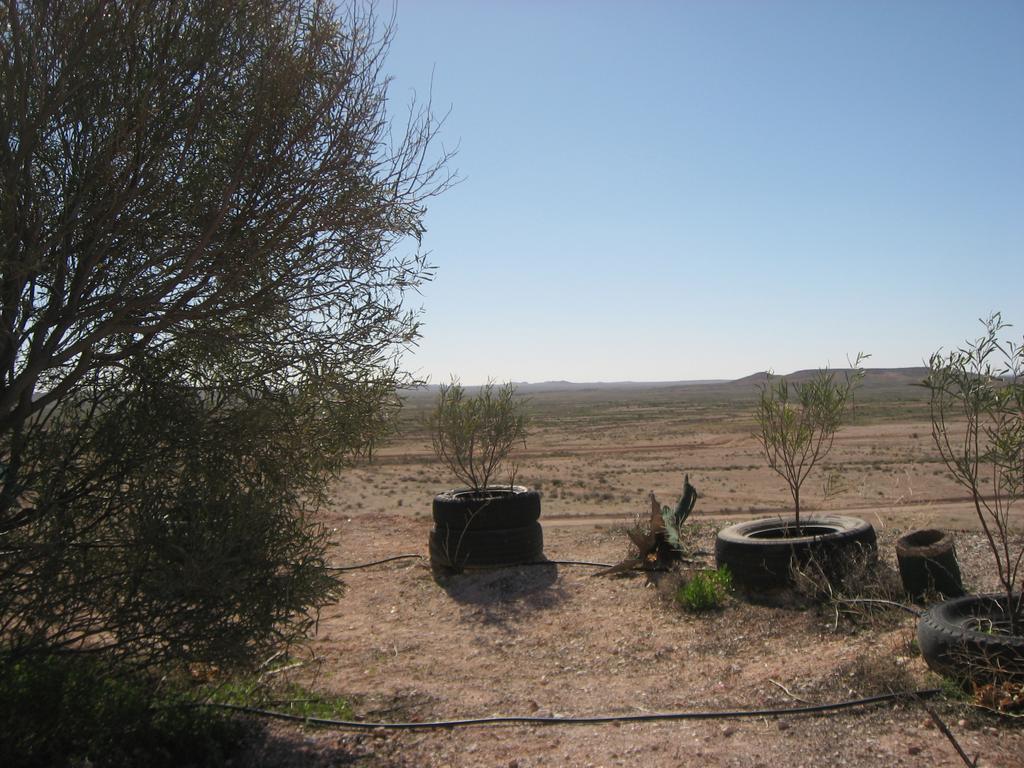 Venushill B+B Coober Pedy Extérieur photo